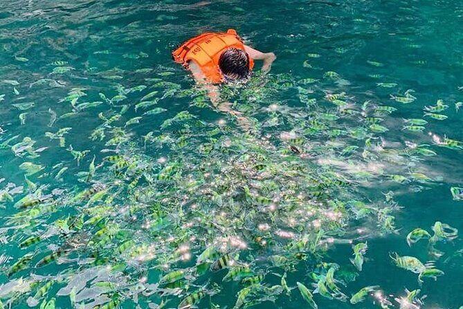 Hong island snorkeling tour from Koh Yao Noi & Koh Yao Yai - What to Expect on the Day