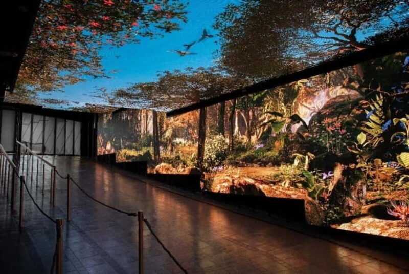 Hong Kong Day Tour: Priority Peak Tram, City Walk & Dim Sum - Who Is This Tour Best For?