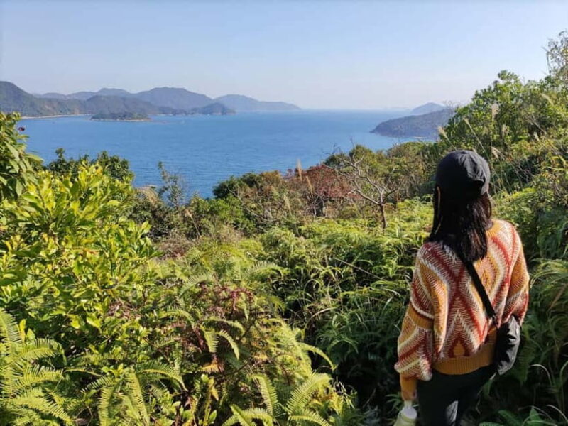 Hong Kong | Hiking and Hidden Gems Tour with Private Driver - Exploring Hong Kong’s Hidden Trails and Scenic Gems with a Private Driver