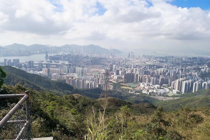 Hong Kong Kowloon 6 Hours Private Limo Tour - Customized Travel - Who Will Love This Tour?