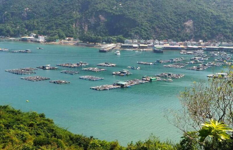 Hong Kong: Lamma Island Walking Tour with Lunch - Key Points