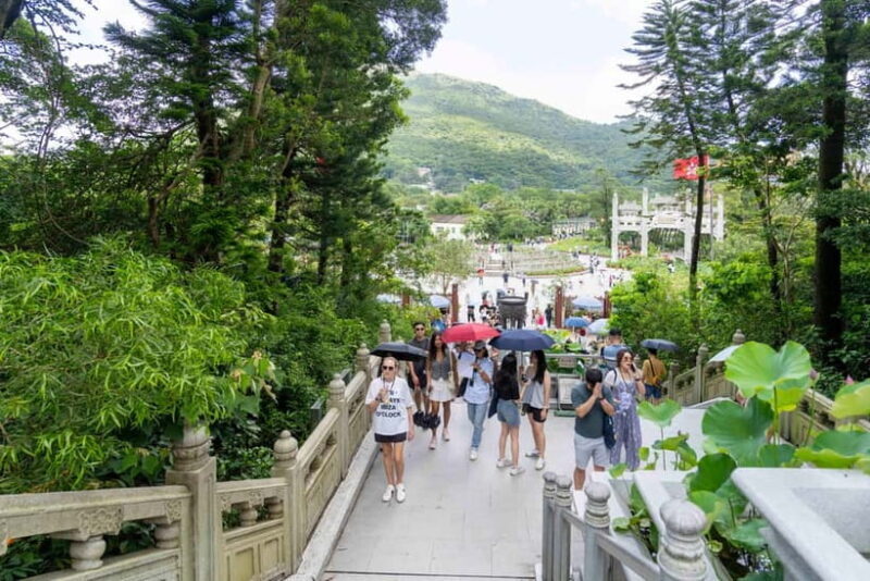 Hong Kong: Lantau VIP Priority Cable Car, Big Buddha & Tai O - Who Will Enjoy This Tour?