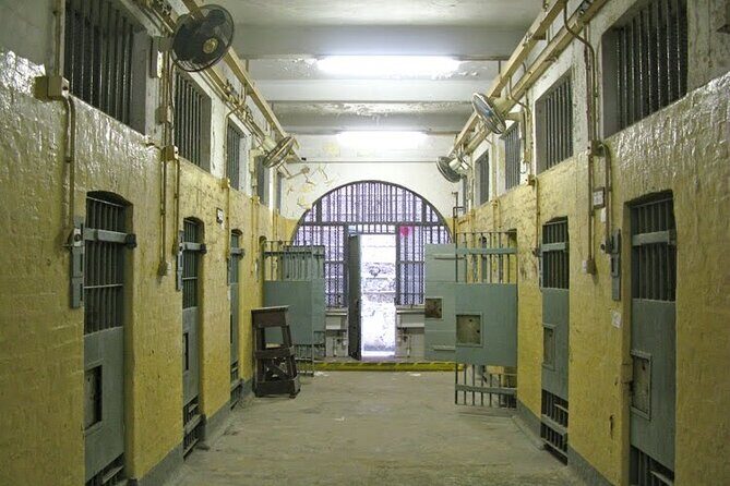 Hong Kong Private Tour (2024) | 200+ booked - A Deep Dive Into the Hong Kong Private Tour