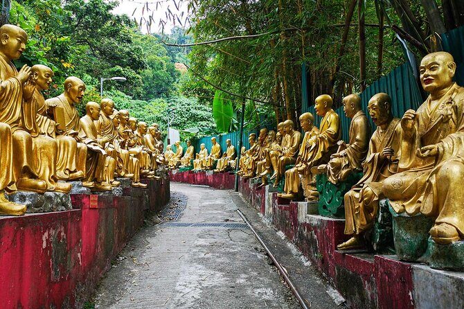 Hong Kong Self-Guided Audio Tour - Kowloon Park – An Urban Oasis