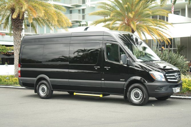 Honolulu Airport Arrival - Sprinter (Van) - Key Points