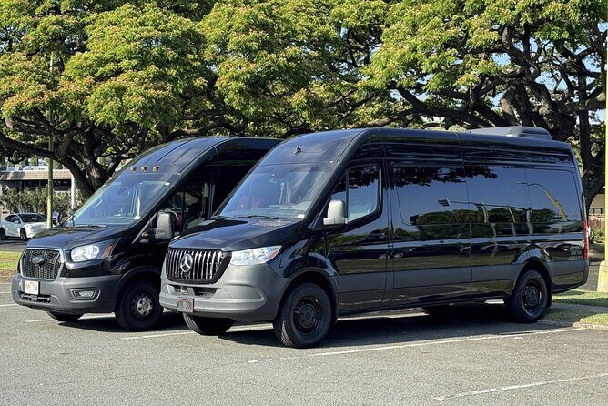 Honolulu Airport Transfer + Flower Lei Greeting - Key Points