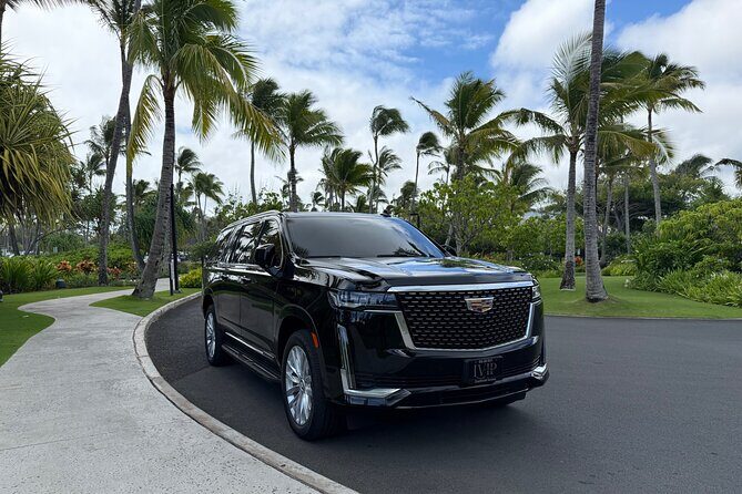 Honolulu Airport Transfer to Waikiki, Kahala & Cruise Ship Port - In-Depth Review: Why This Transfer Works (or Doesn’t)