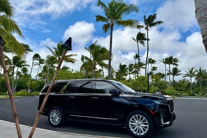 Honolulu Airport Transfer to Waikiki, Kahala & Cruise Ship Port - Who Should Consider This Service?