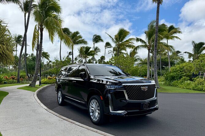 Honolulu Airport Transfer to Waikiki, Kahala & Cruise Ship Port - Final Thoughts