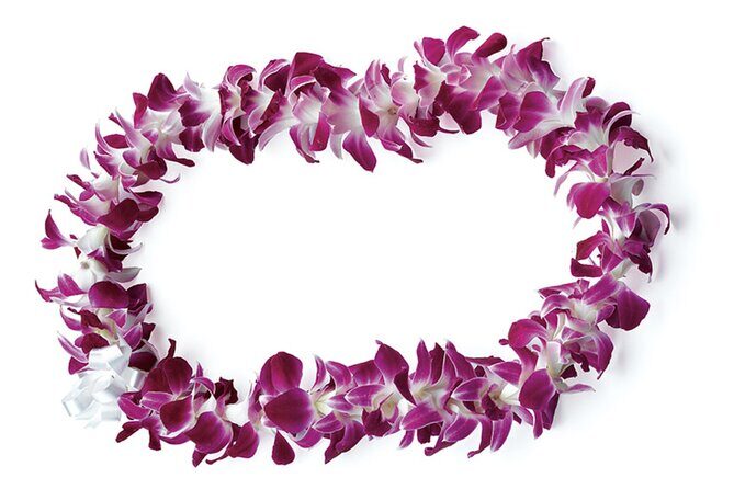 Honolulu Airport: Waikiki Private Transfer With Lei Greeting - What to Expect from Your Transfer