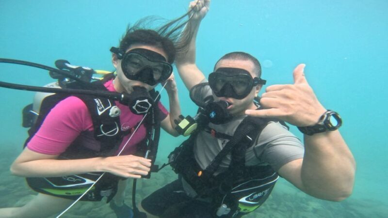 Honolulu: Beginner Scuba Diving Tour With Free Videos - Who Should Consider This Tour?