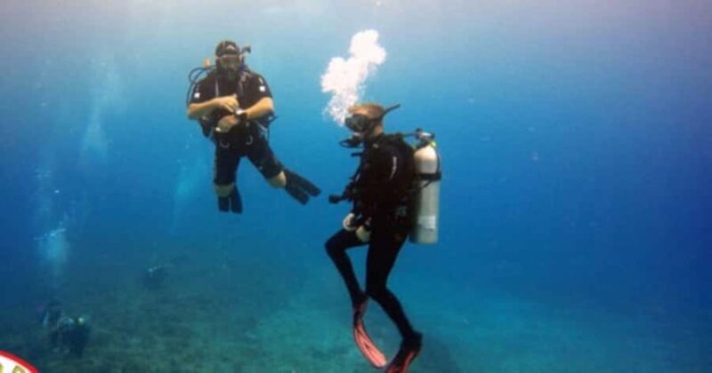 Honolulu: Discover Scuba Diving Experience with Gear - Final Thoughts: Who Is This Experience Best For?
