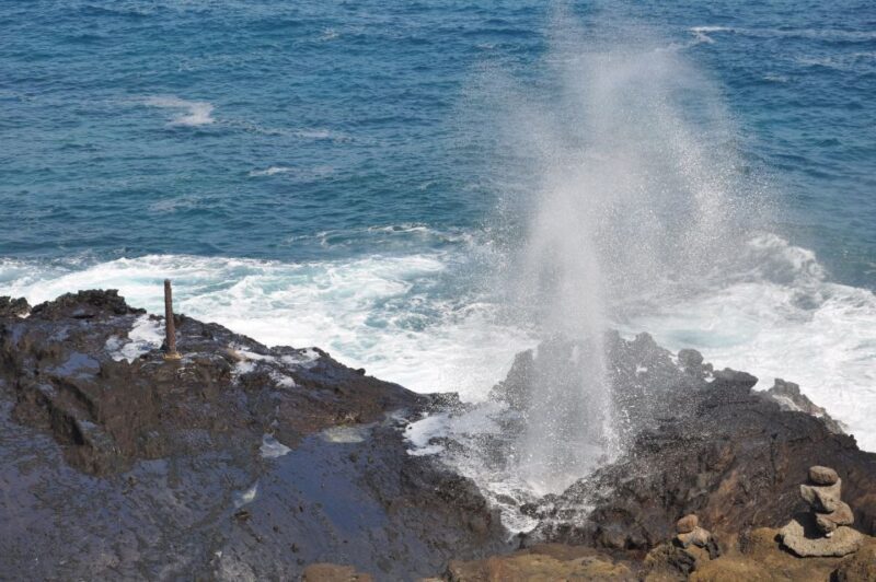 Honolulu: Oahu Island Highlights Tour with Multiple Stops - The Sum Up: Who Will Love This Tour?
