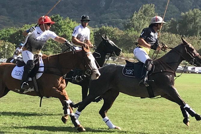 Honolulu Polo Game with Stables Tour and VIP Seats plus Private Island Tour - Key Points
