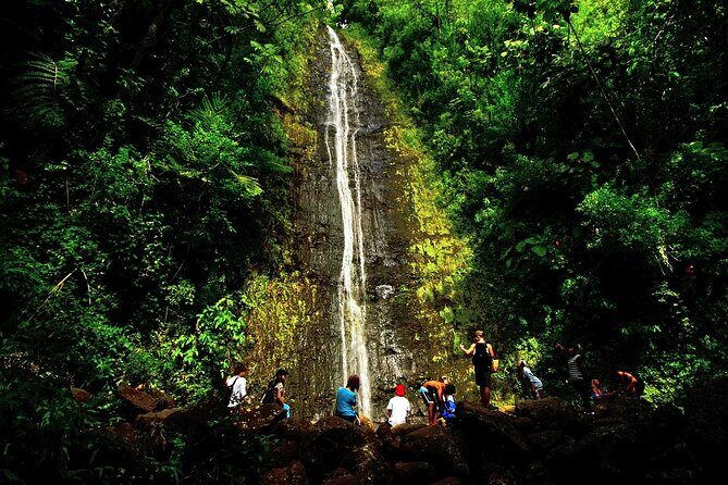 Honolulu Rainforest Self-Guided Audio Tour - Who Will Love This Tour?