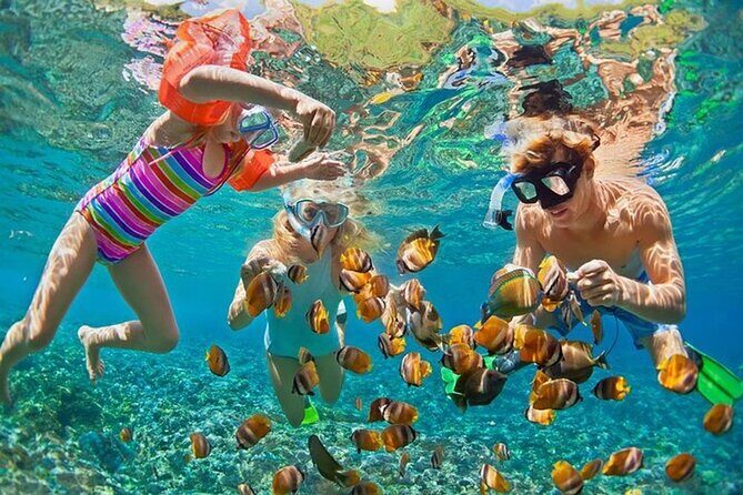 Honolulu Sailing and Snorkeling Activity - Discover the Underwater Wonders of Oahu with a Sailing and Snorkeling Tour