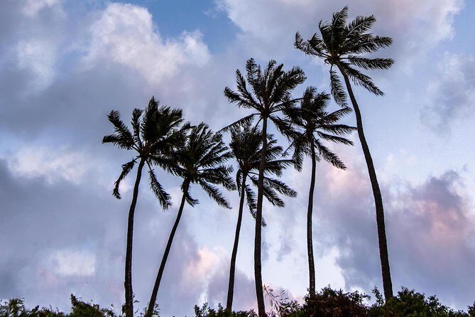 Honolulu Sea-Cliff with Sunset Photo Adventure - Who Is This Tour Best For?