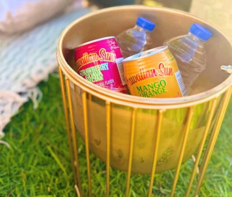 Honolulu: Secluded Beachside Luxury Picnic & Painting - A Relaxing Artistic Escape on Honolulu’s Secluded Beach