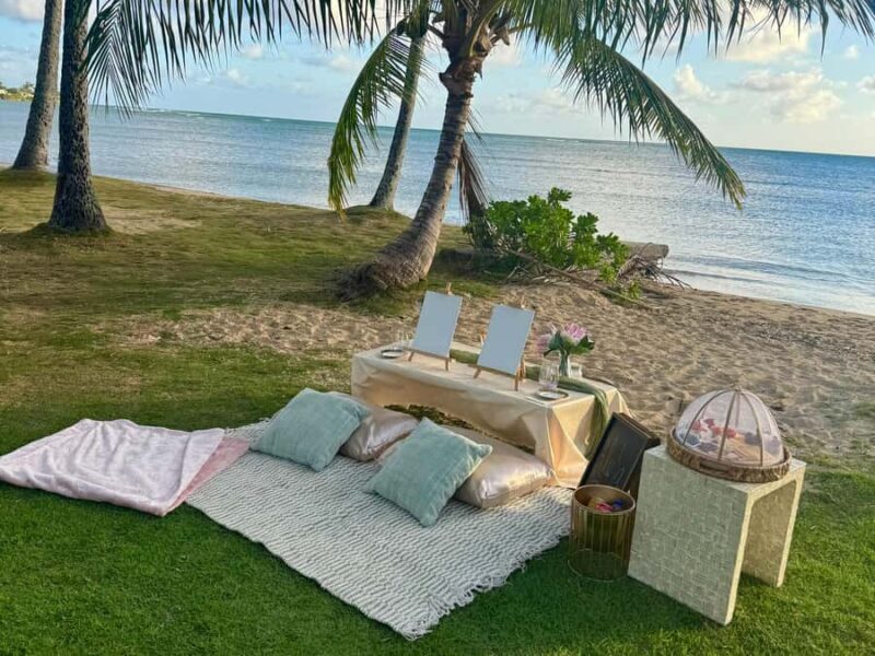 Honolulu: Secluded Beachside Luxury Picnic & Painting - Who Would Enjoy This Experience?