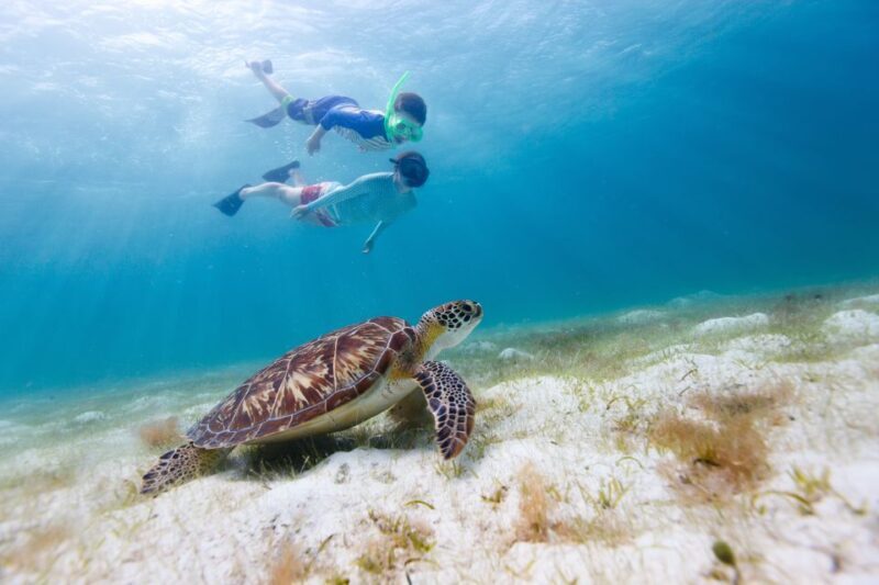 Honolulu> Waikiki Turtle Canyon Snorkeling and Swimming Tour - Final Thoughts: Is It Worth It?