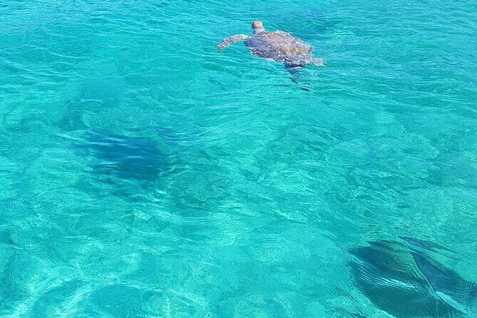 Honor Roll Private Bahamas Boat Charter - The Sum Up: Why the Honor Roll Bahamas Tour Is a Great Choice