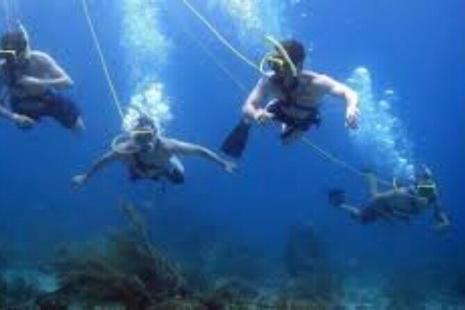 Hookah Diving Adventure in Zihuatanejo - An In-Depth Look at the Zihuatanejo Hookah Diving Experience