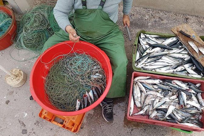 Hooked on Sesimbra - Practical Details and Logistics
