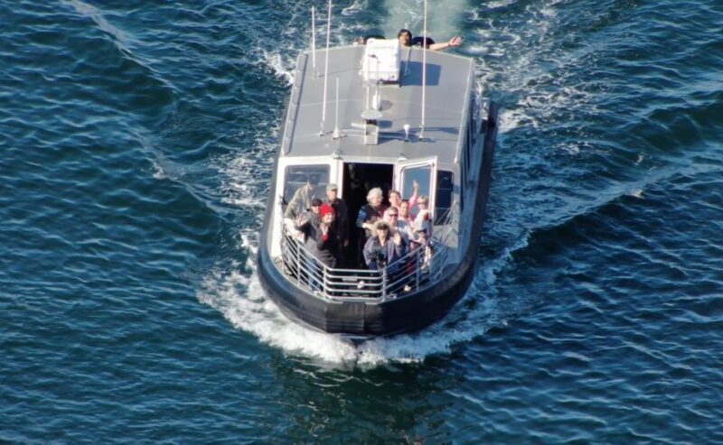 Hoonah: Icy Strait Whale Watch with Drone Filmography - FAQ
