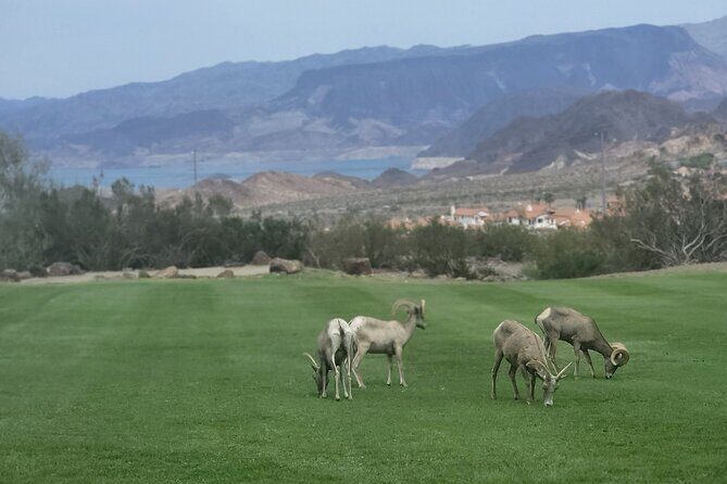 Hoover Dam Self-Guided Tour on a CanAm Trike - Authentic Scenic Views & Independence