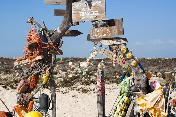 Hop On Hop Off 3 Islands: Deserta, Farol and Culatra - Key Points