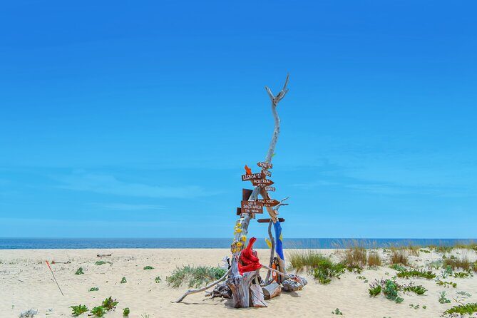 Hop On Hop Off 3 Islands: Deserta, Farol and Culatra - A Detailed Look at the Island-Hopping Experience