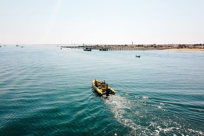 Hop On Hop Off 3 Islands: Deserta, Farol and Culatra - FAQs