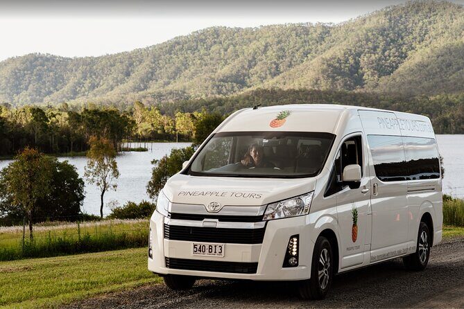Hop on Hop Off Bus - Tamborine Mountain - Authentic Experiences and Authenticity