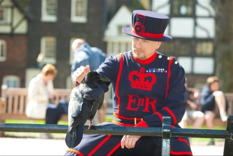 Hop on Hop off London Bus Tour & Tower of London - A Practical Look at the Hop on Hop off London Bus Tour & Tower of London