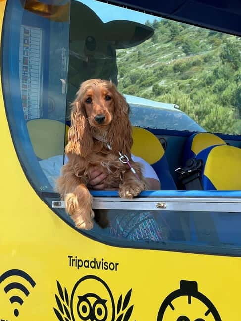 Hop-On Hop-Off Yellow Cabrio Tour: See Dubrovnik in 90mins - Value for Money and Practical Details
