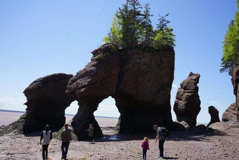 Hopewell Cape: Hopewell Rocks Admission - Exploring Hopewell Rocks: The Details
