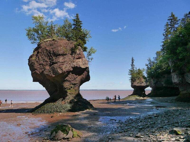 Hopewell Cape: Hopewell Rocks Admission - FAQ