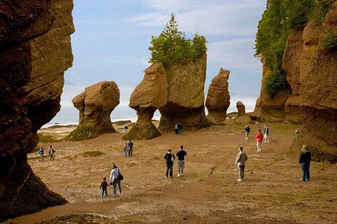 Hopewell Rocks Admission - Hopewell Rocks Admission: A Natural Wonder with Personal Touches