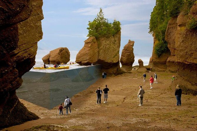 Hopewell Rocks Admission - Key Points