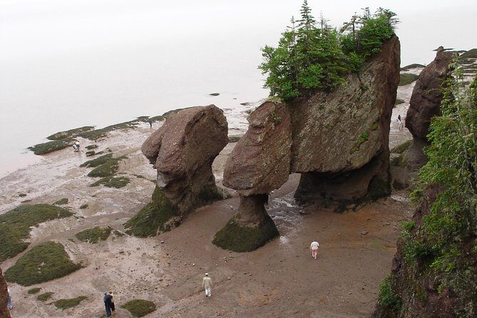 Hopewell Rocks Admission - The Sum Up