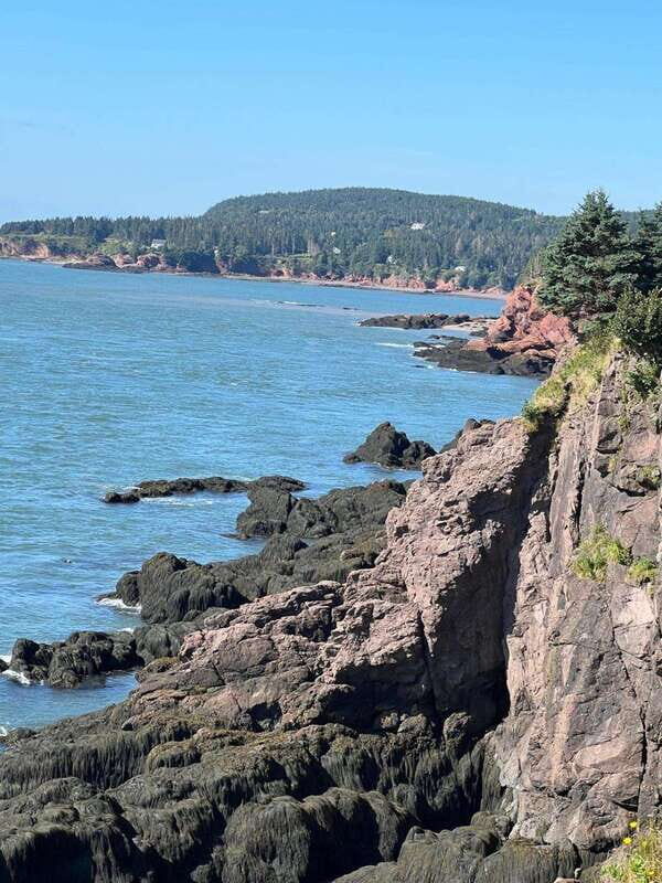 Hopewell Rocks and Fundy National Park Private Tour - Key Points