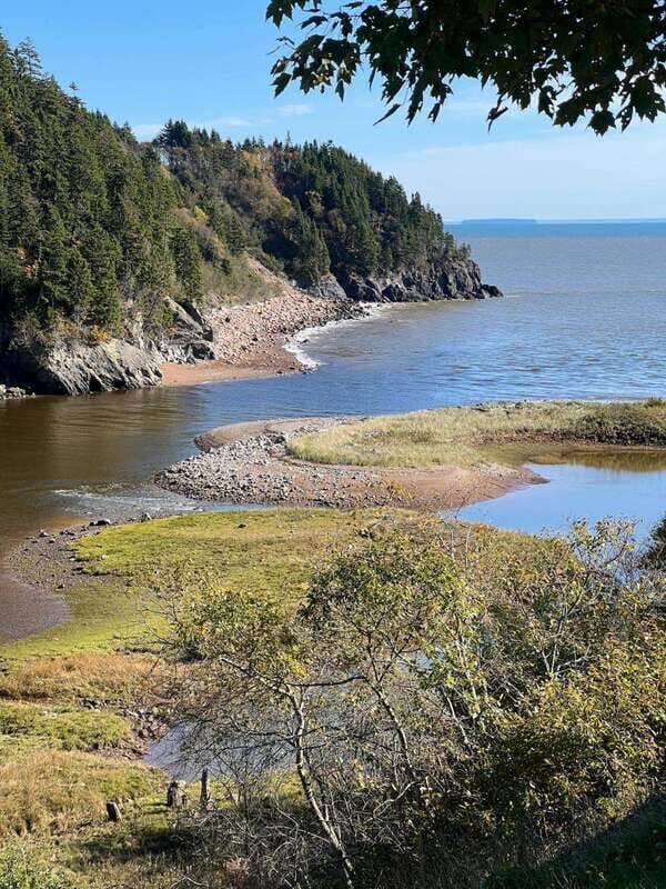 Hopewell Rocks and Fundy National Park Private Tour - What’s Included and What’s Not