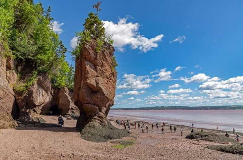 Hopewell Rocks and Fundy National Park Private Tour - FAQ