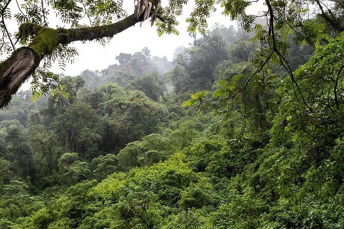 Hornillas hot springs- mud bath-Horses or tractor-waterfalls hike - Key Points