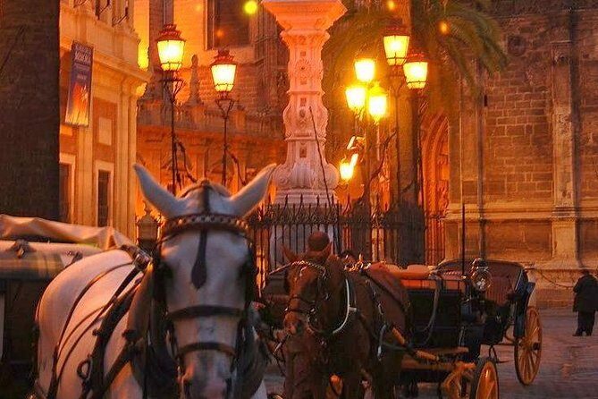 Horse and Buggy Ride in Seville with guide - A Closer Look at the Experience
