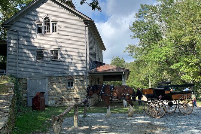 Horse and Carriage Ride through Moses H. Cone Park - Why This Tour Offers Great Value
