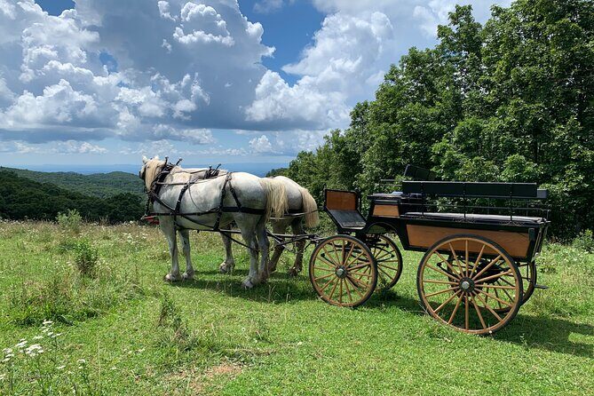 Horse and Carriage Ride through Moses H. Cone Park - Final Words