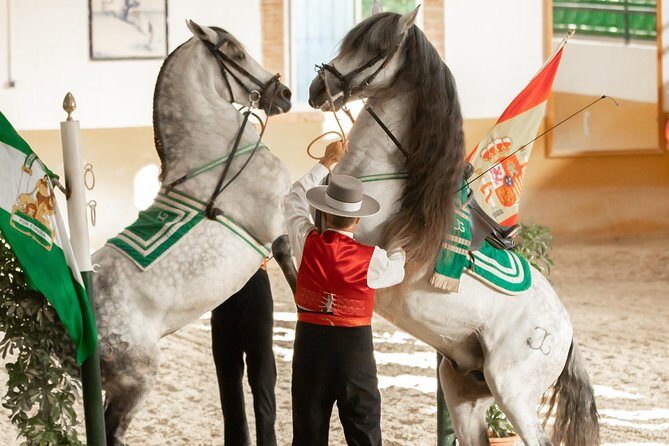 Horse and Flamenco Show in Malaga - A Detailed Look at the Horse and Flamenco Show