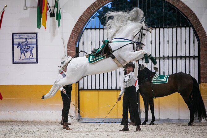 Horse and Flamenco Show in Malaga with Dinner - Who Will Love This Experience?