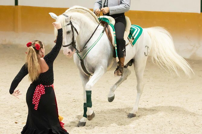 Horse and Flamenco Show in Malaga with Dinner - Final Thoughts